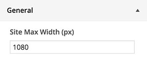 Puro Customizer General Section