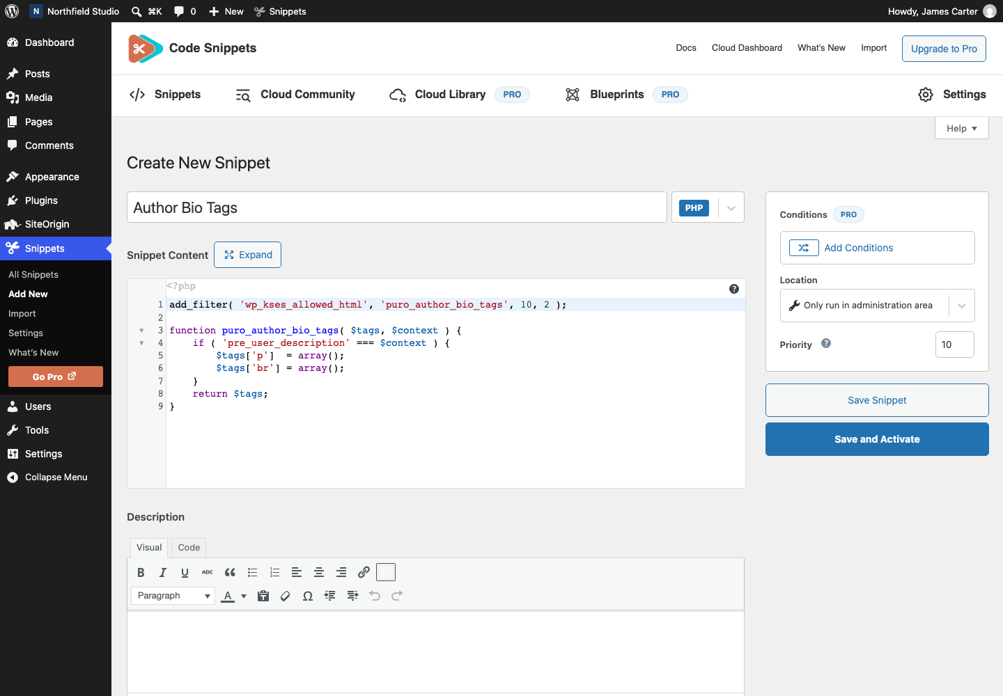 The author bio tags snippet in the Code Snippets editor