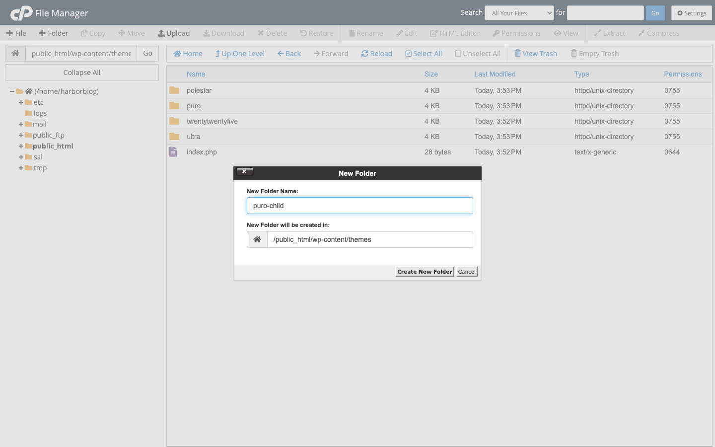 Creating a puro-child folder in wp-content/themes with a Hosting File Manager